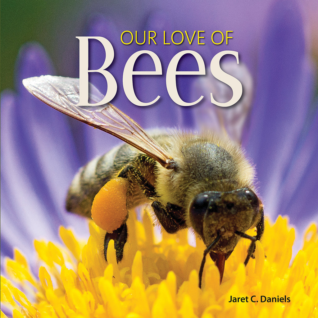 Our Love of Bees Book