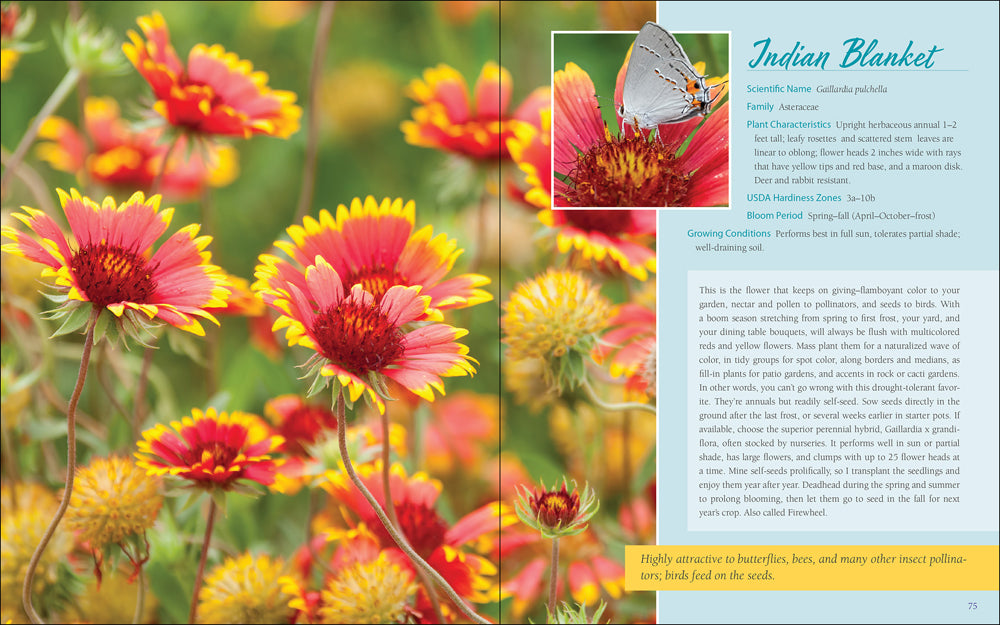 Native Plant Gardening: Southeast