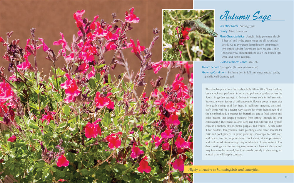 Native Plant Gardening: South