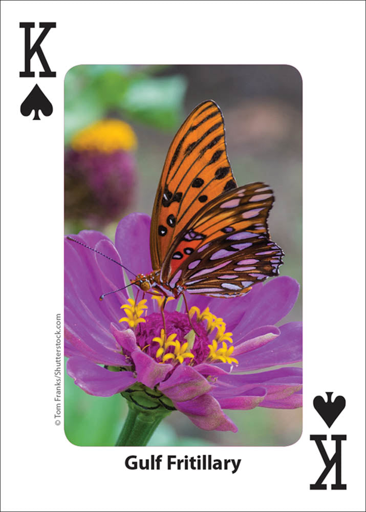 Bees & Butterflies Playing Cards