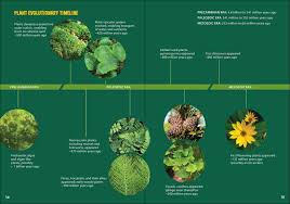 Pollinators & Native Plants for Kids