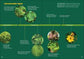 Pollinators & Native Plants for Kids