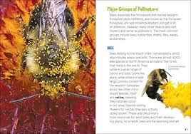 Pollinators & Native Plants for Kids