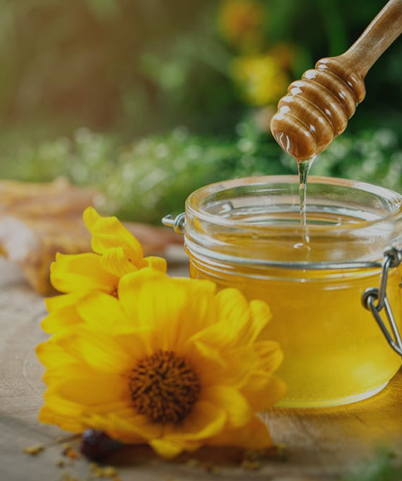 Roark Acres Honey Farms - Retail Store photo 17