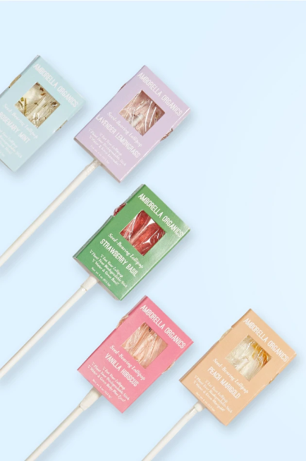 Amborella Seed-bearing Lollipops.