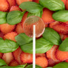 Amborella Seed-bearing Lollipops.